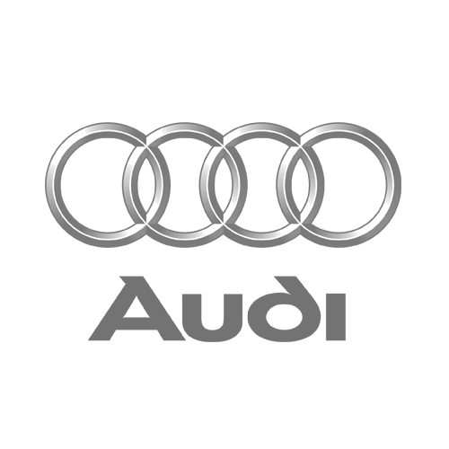 LNConsult Referenz - Audi