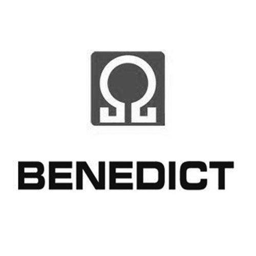 LNConsult Referenz - Benedict