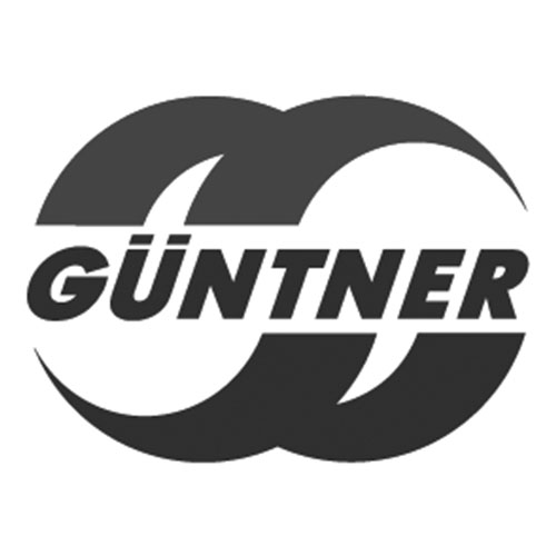 LNConsult Referenz - Güntner Tata