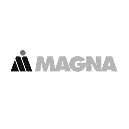 LNConsult Referenz - Magna