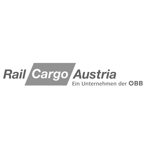 LN Consulting Supply Chain Beratung