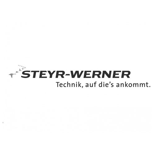 LNConsult Referenz - Steyr-Werner